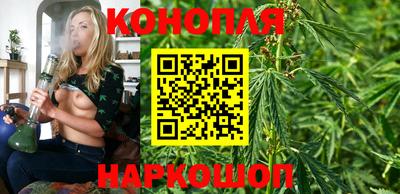 крисы Ярославль