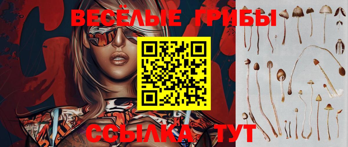 Лесосибирск  Галлюциногенные грибы ЛСД  Вход с VPN  Галлюциногенные грибы Magic Shrooms 